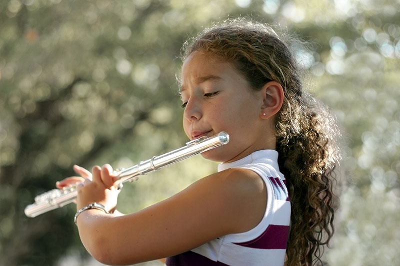 Flute Lessons Maestro Music Institute Lessons Denver Metro Wide